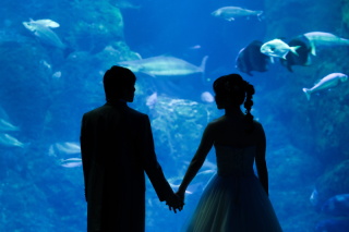 貸切撮影可能なロケーション