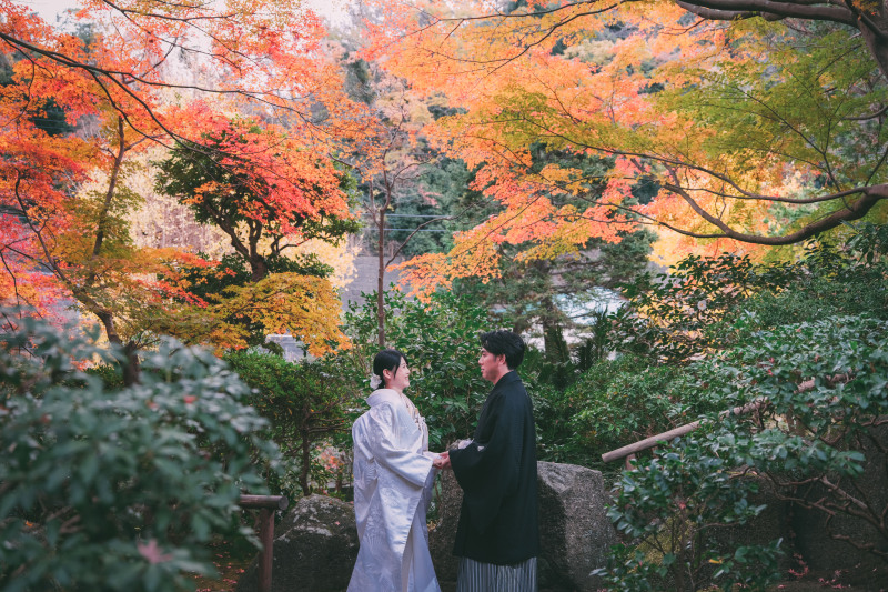 湘南の遅咲き紅葉フォトをご紹介!