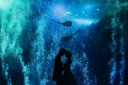 新江ノ島水族館でお二人だけの空間が残せるウエディングフォト