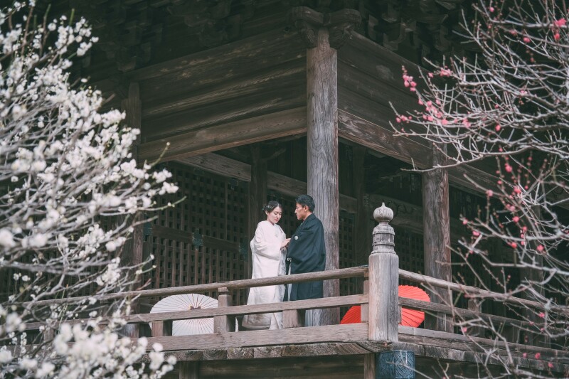【和装】春先の妙本寺ぶらり