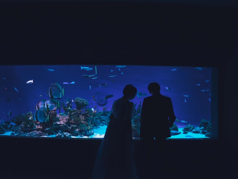 おふたりらしい水族館フォト