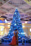 この季節限定プラン!!!