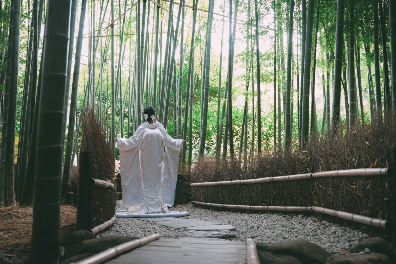 桜と竹林が味わえる【春の報国寺】
