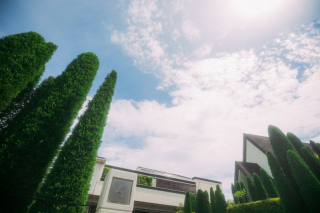 多彩なフォトスポットが詰まった邸宅だから、イメージ通りの写真を撮影OK