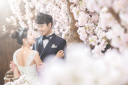 *+静岡は桜満開+*当スタジオなら1年中満開の桜フォトを撮影いただけます
