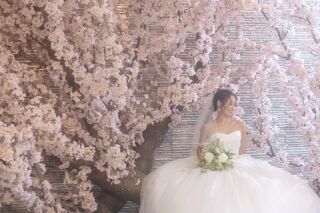 公園では絶対NGの木登りもOK!桜フォトもオリジナリティをちりばめて