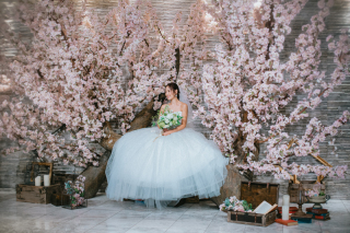 館内もロケーションでもOK!桜フォト受付中です!