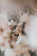 桜フォト…スタジオセットで年中OKです！