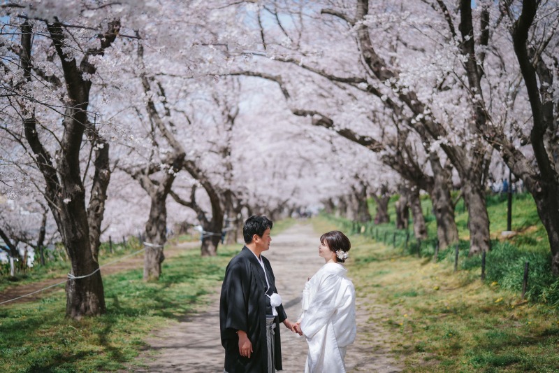 3月28日の桜状況!!!!!