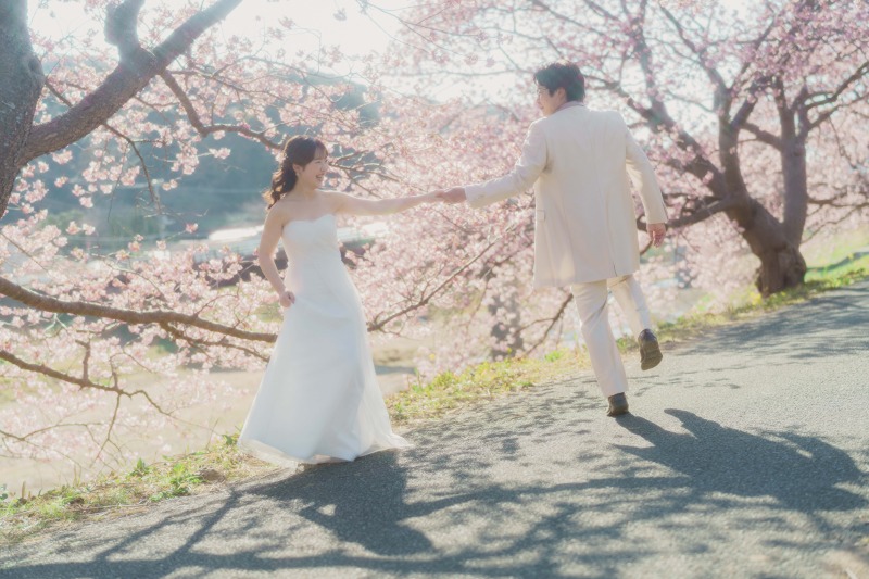 来年の春に向けて河津桜ロケーションのご案内！