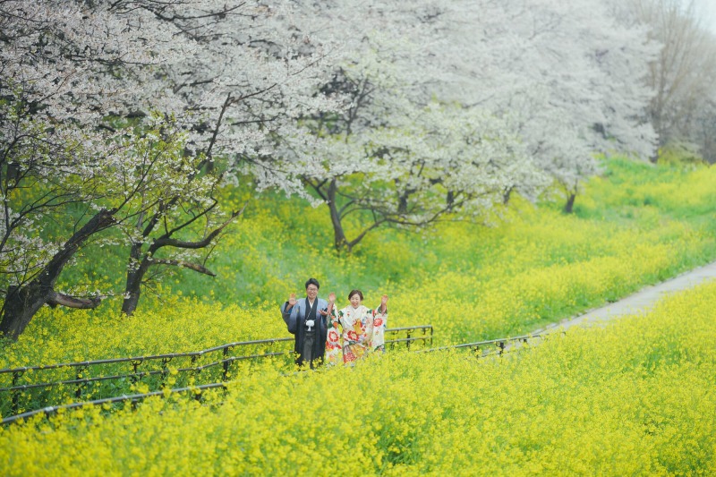 桜撮影残りわずか!! 空き状況のお知らせ