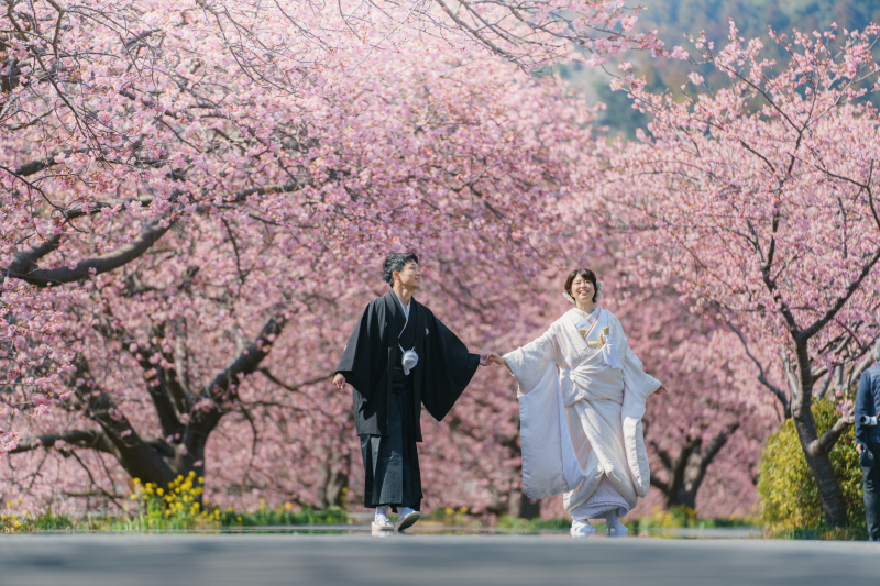 《桜の名所》ご予約受付中!伊豆河津桜ロケーション