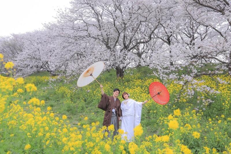 桜撮影絶賛受付中です！残り僅かの受付枠のためお急ぎください！！