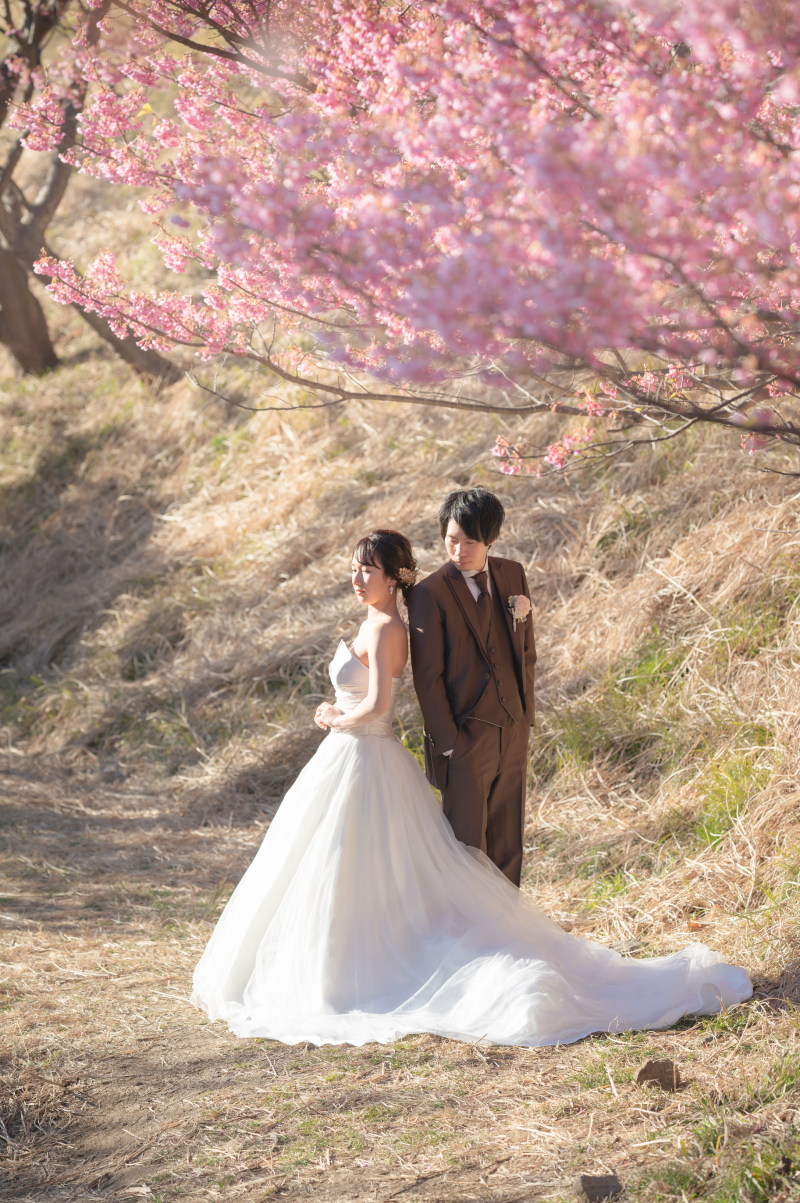 河津桜での撮影がお す す め！残りわずかです。