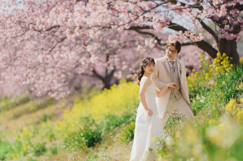 2月に咲く河津桜のご紹介！