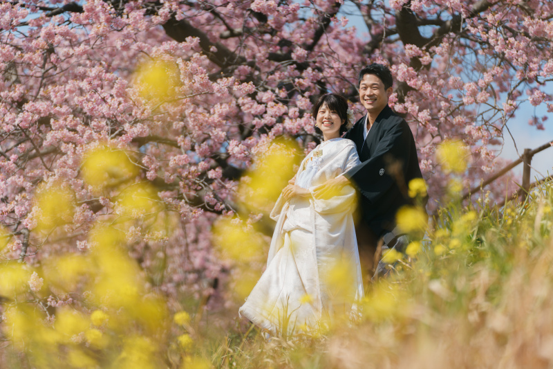 《桜の名所》ご予約受付中!伊豆河津桜ロケーション