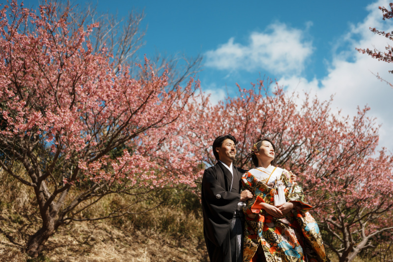 2月に咲く河津桜のご紹介！