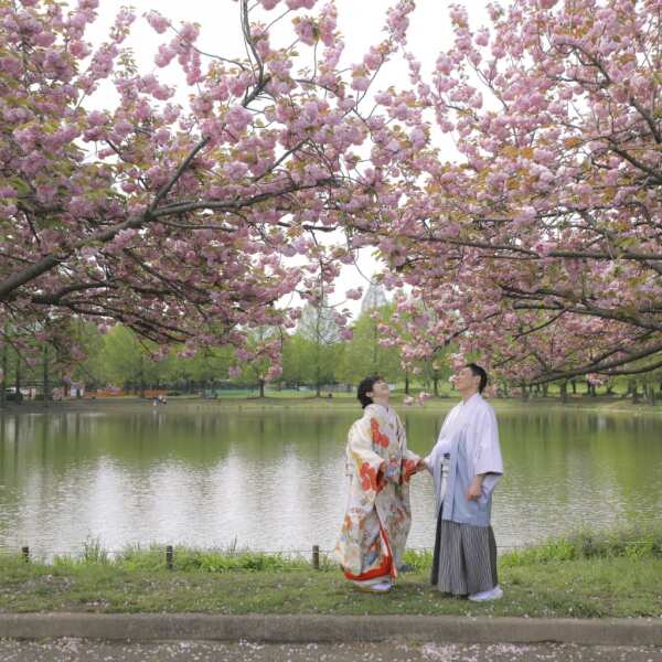 桜撮影残りわずか!! 空き状況のお知らせ
