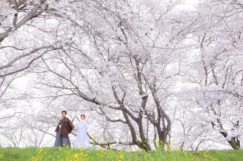 〜2022年3月31日 桜状況〜