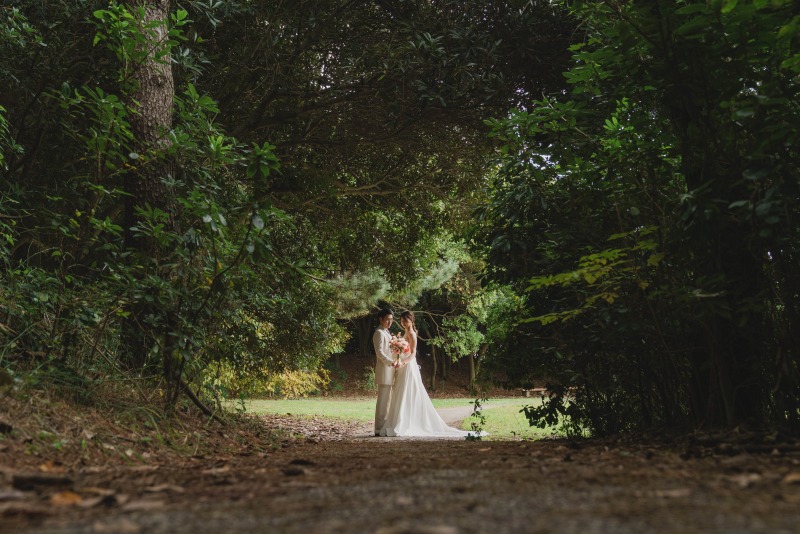 緑と夕日の稲毛海浜公園撮影！