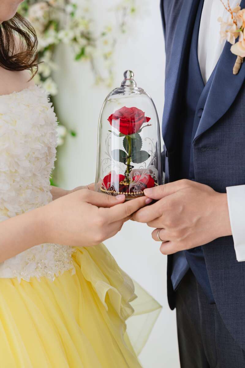 好きなプリンセスに