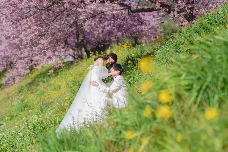 《桜の名所》ご予約受付中!伊豆河津桜ロケーション