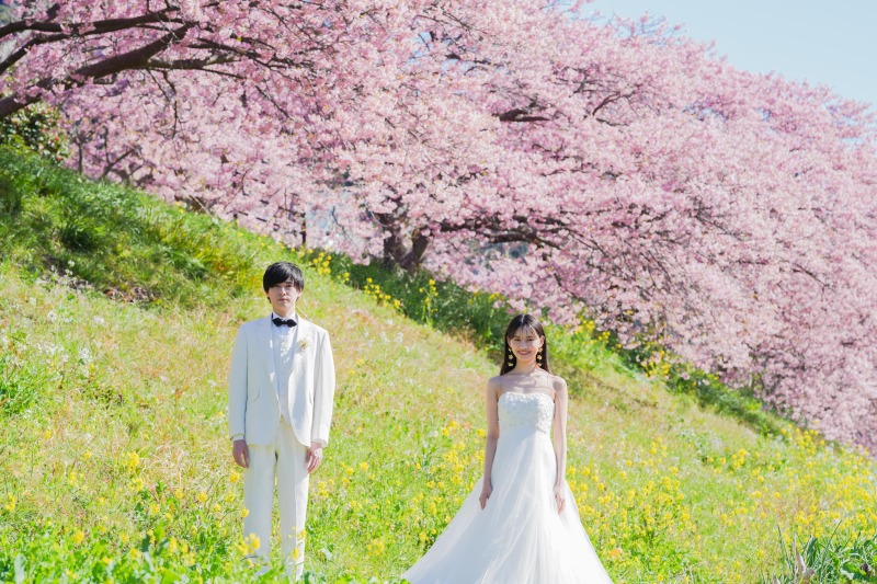 《桜の名所》ご予約受付中!伊豆河津桜ロケーション