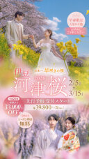早咲きの桜で!伊豆河津桜ロケーションご予約受付中!!