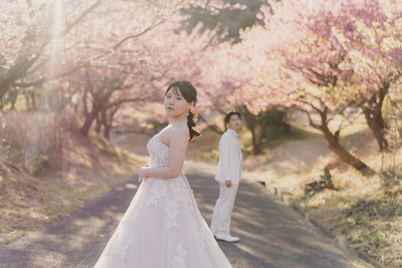 河津桜ロケーションのご紹介!