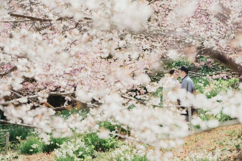 伊豆で先取り春と夏？！