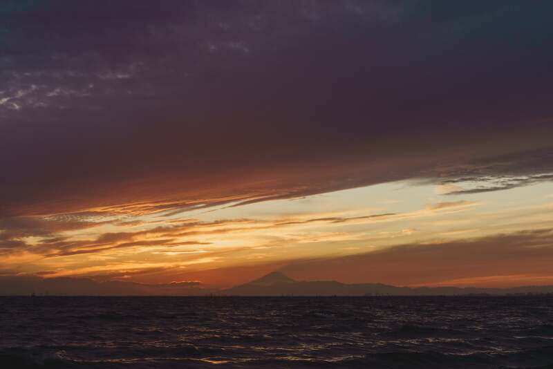 緑と夕日の稲毛海浜公園撮影！