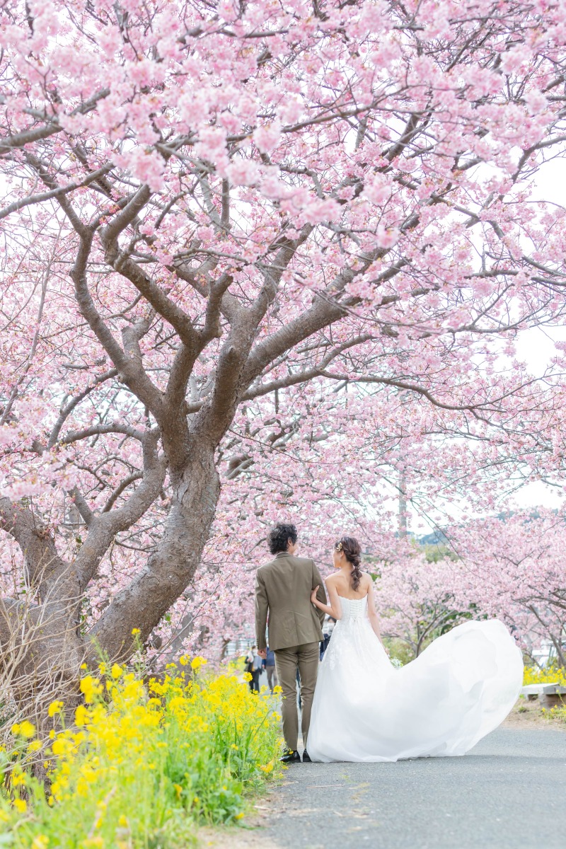 河津桜ロケーション♪