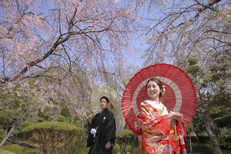 桜の花田苑ロケーション