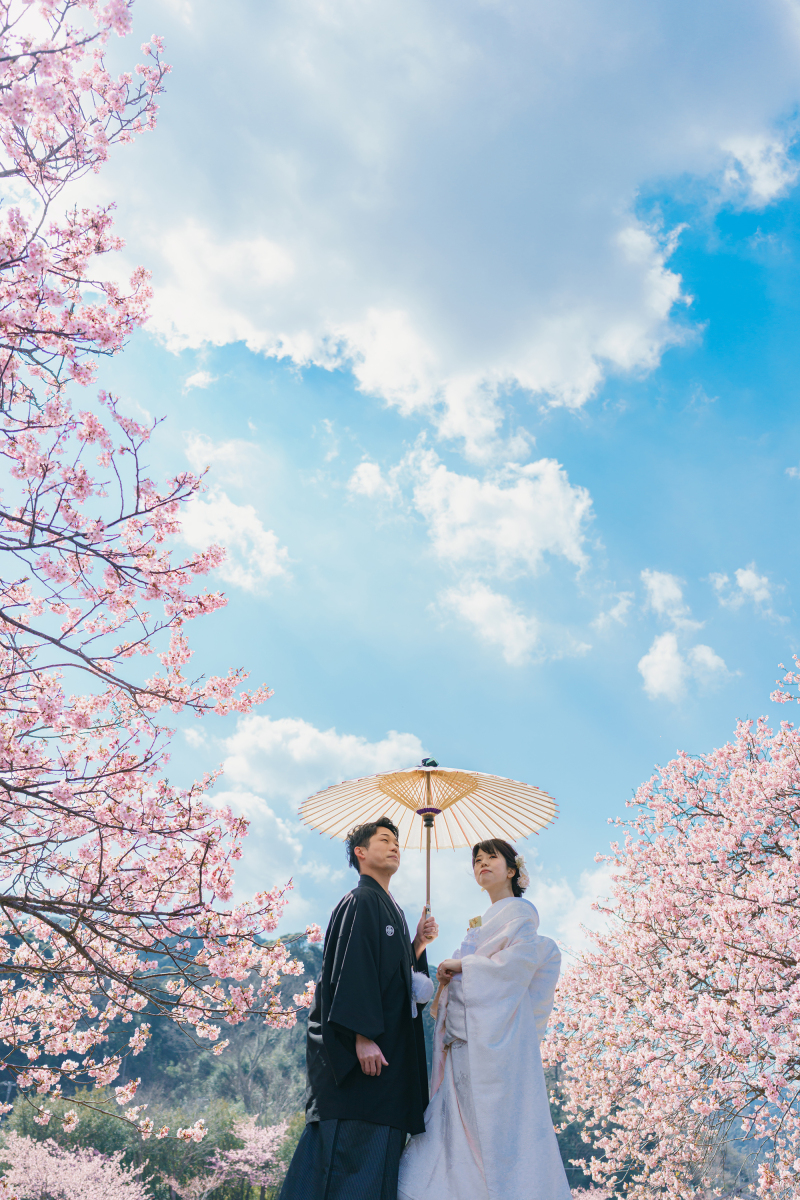 《桜の名所》ご予約受付中!伊豆河津桜ロケーション
