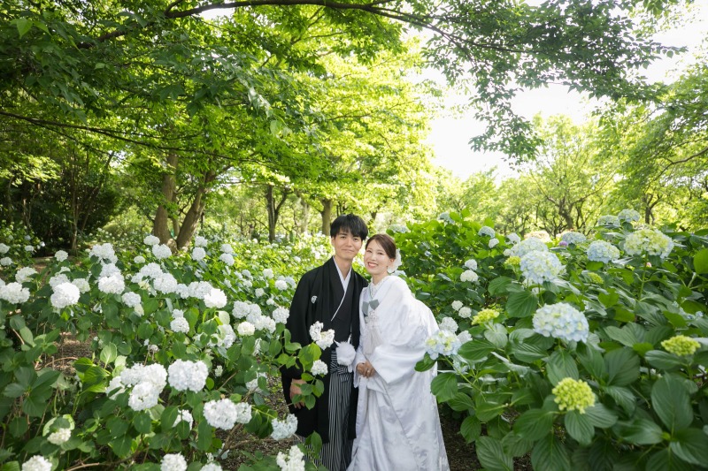 紫陽花の季節！大宮第二公園での撮影