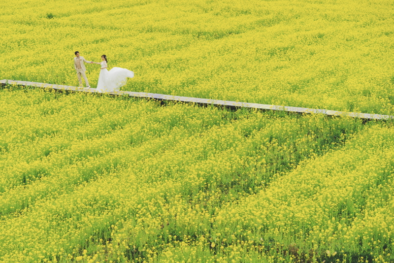 あけましておめでとうございます！