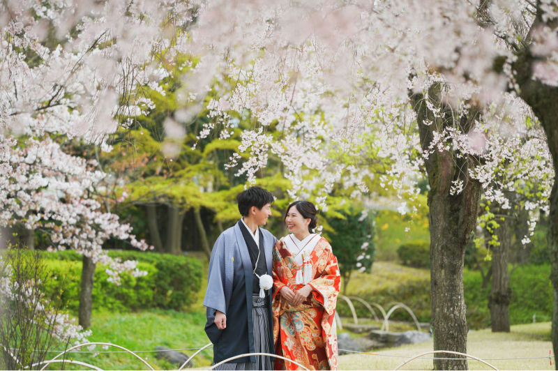 桜フォト、まだ間に合います!