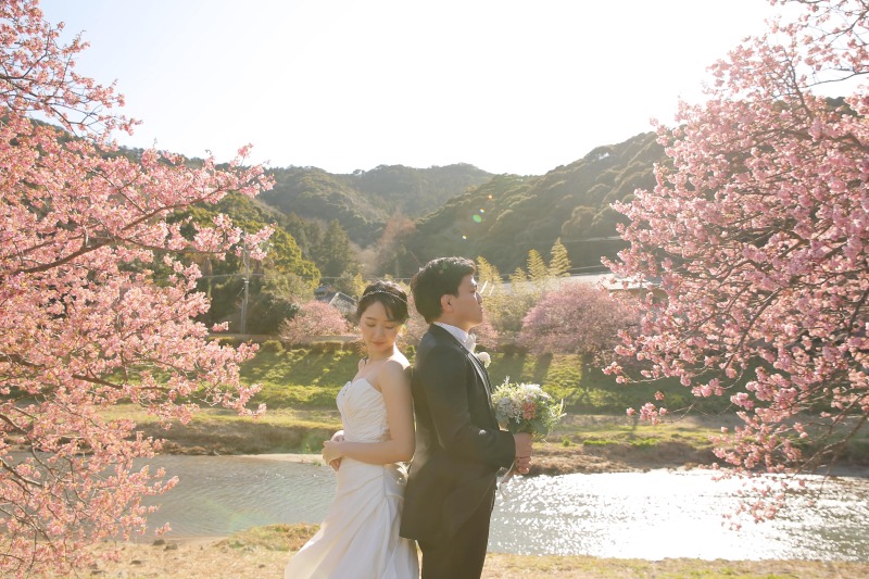 河津桜ロケご予約受付中!