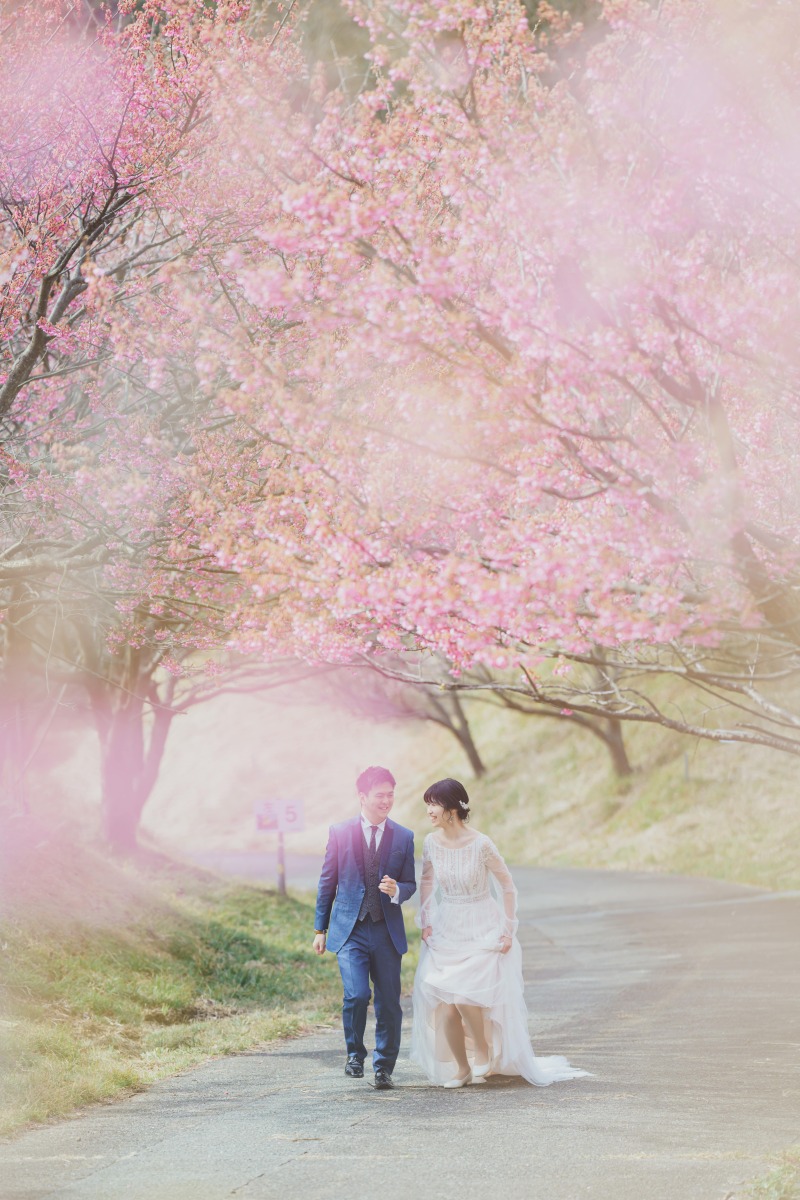 実は2月に桜と撮影ができます