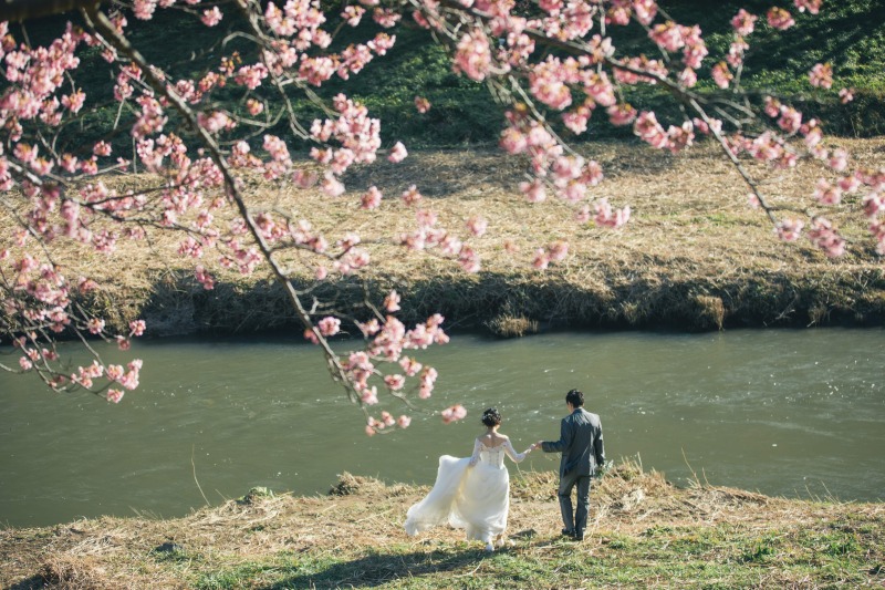 河津桜ロケご予約受付中!