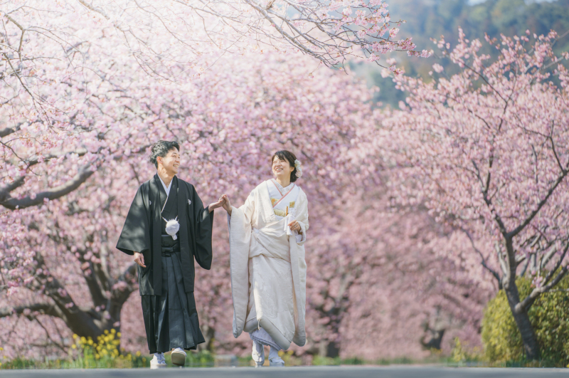 あけましておめでとうございます！