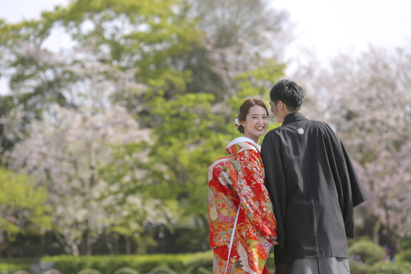 桜の花田苑ロケーション