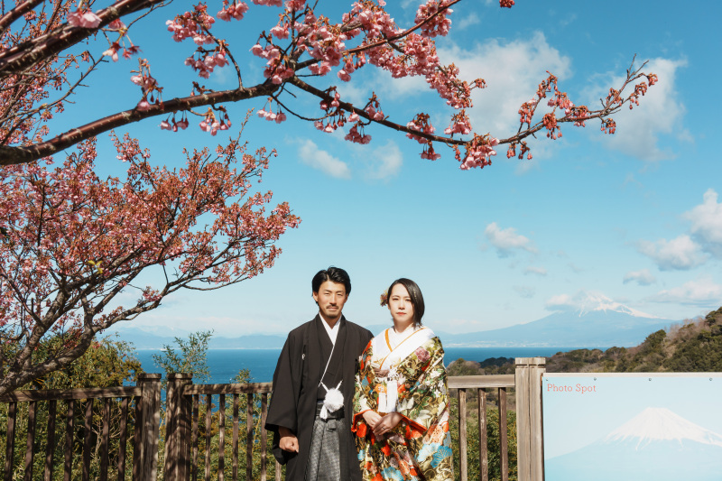 2月に咲く河津桜のご紹介！