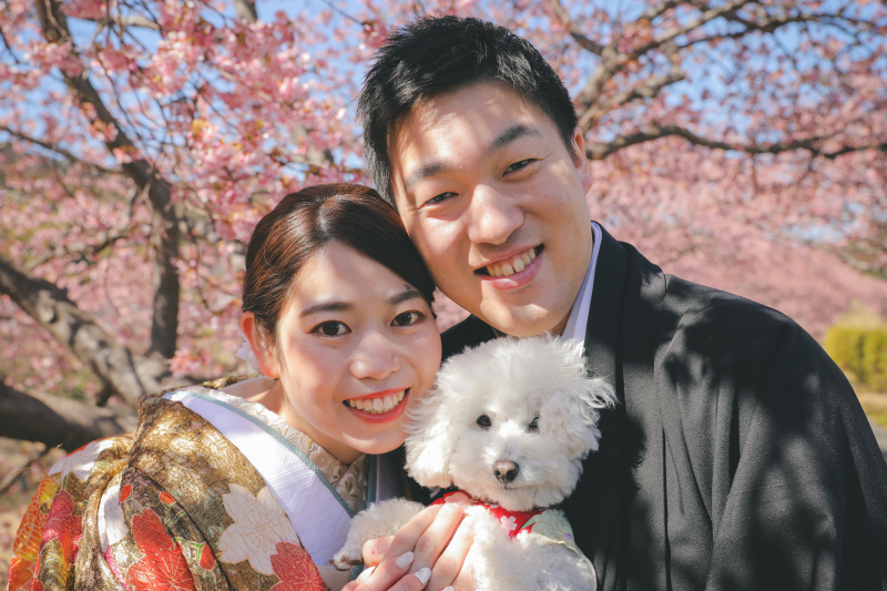いよいよ5日後から！河津桜ロケーションプラン♪