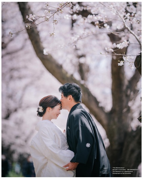 3月28日の桜状況!!!!!