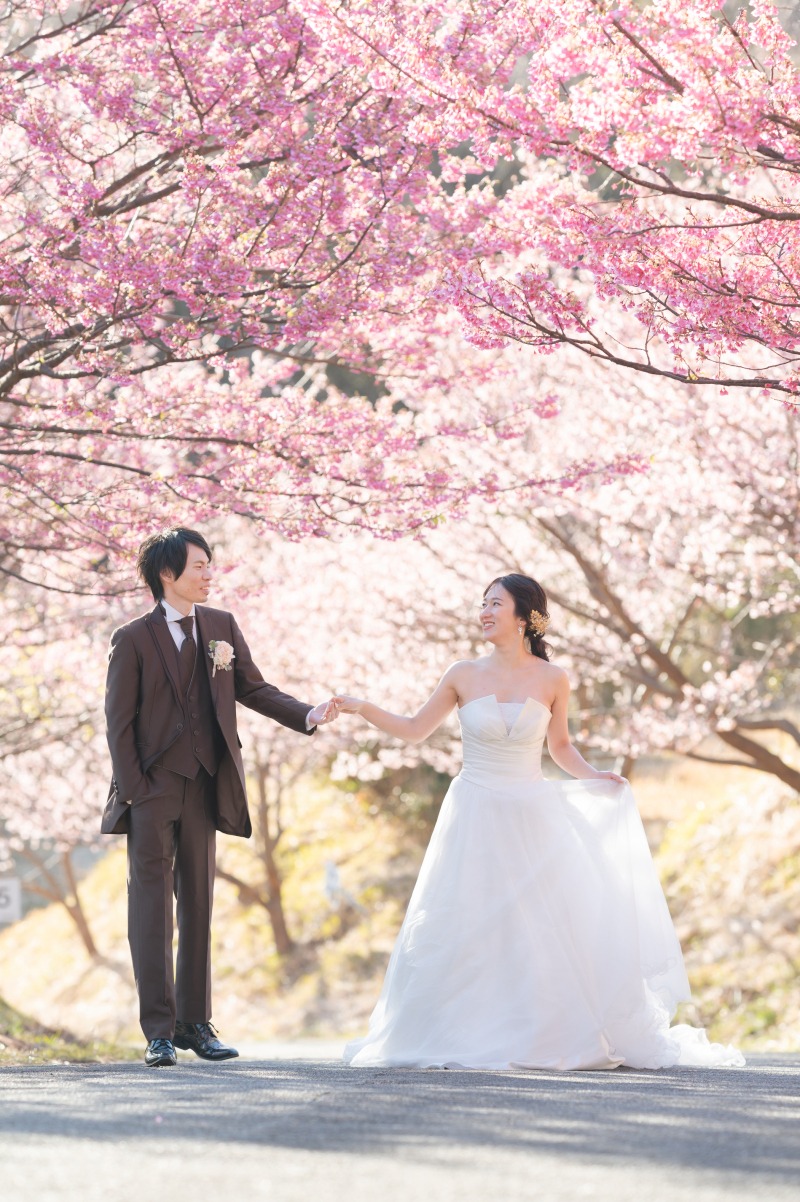 河津桜での撮影がお す す め！残りわずかです。