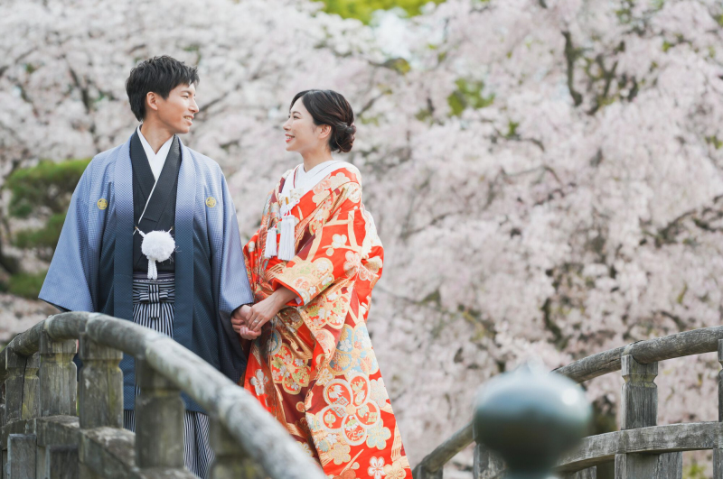 桜フォト、まだ間に合います!