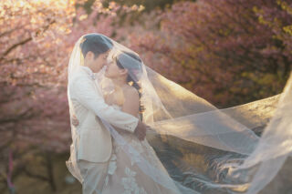 河津桜ロケーションのご紹介！