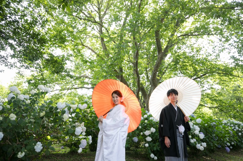 紫陽花の季節！大宮第二公園での撮影