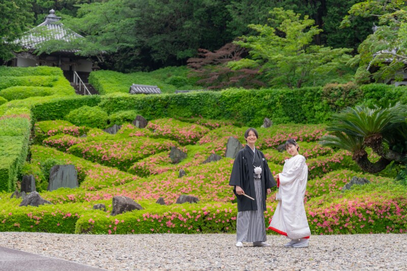 初夏の前撮り検討に際してのアドバイス